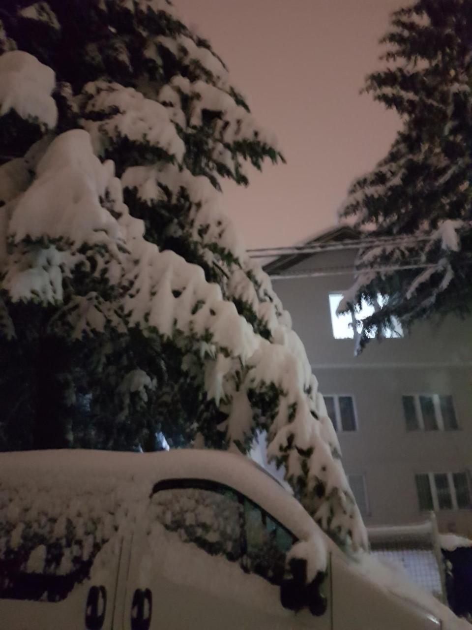 Cosy And Chic... Parking Included Apartment Sarajevo Exterior photo